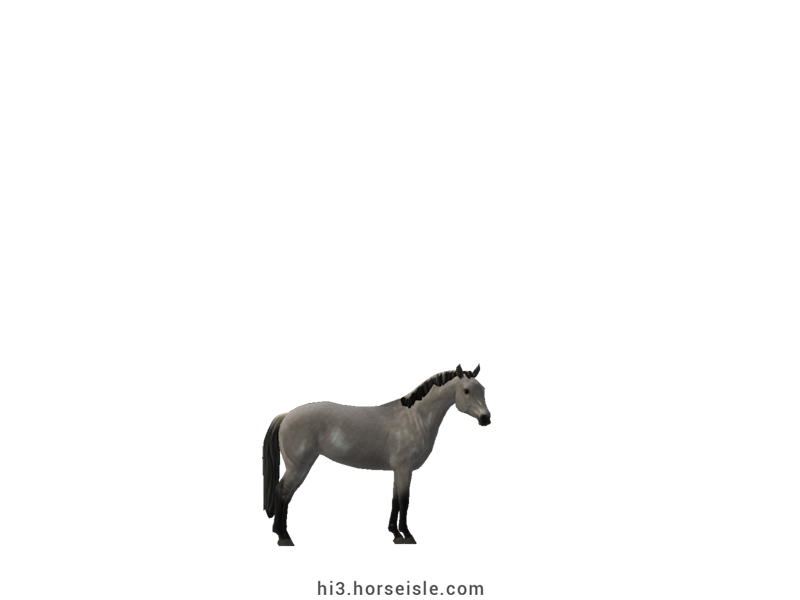 American Miniature Horse Silvery Slate Grulla Coat